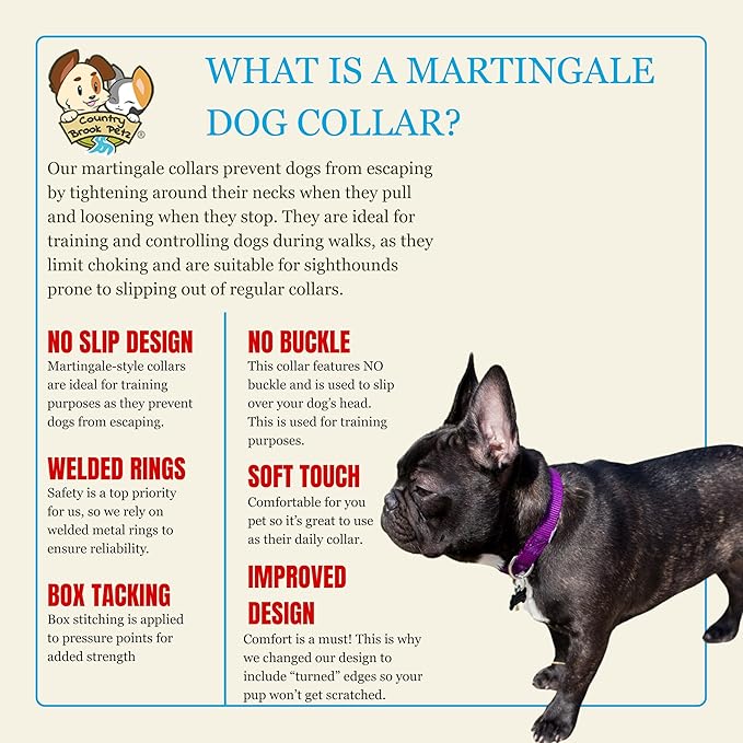 Country Brook Petz - Martingale Dog Collar - Heavy-Duty Training Collar with No Buckle - Service Dog Collar for All Pups - 20 Vibrant Colors (Purple, 3/4 Inch, Small)