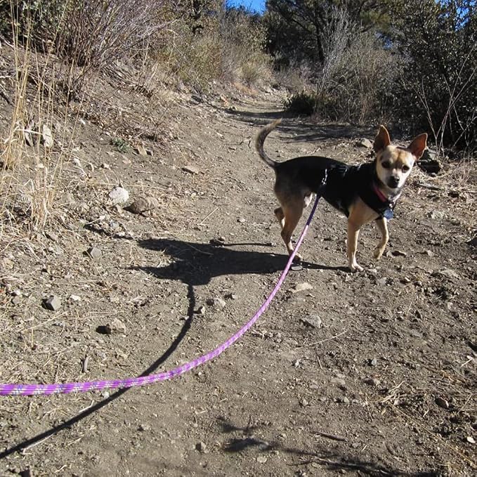 MayPaw Heavy Duty Rope Dog Leash, 6/8/10/15/20/30 FT Nylon Pet Leash, Soft Padded Handle Thick Lead Leashes for Large Medium Dogs (Purple, 1/2" * 8')