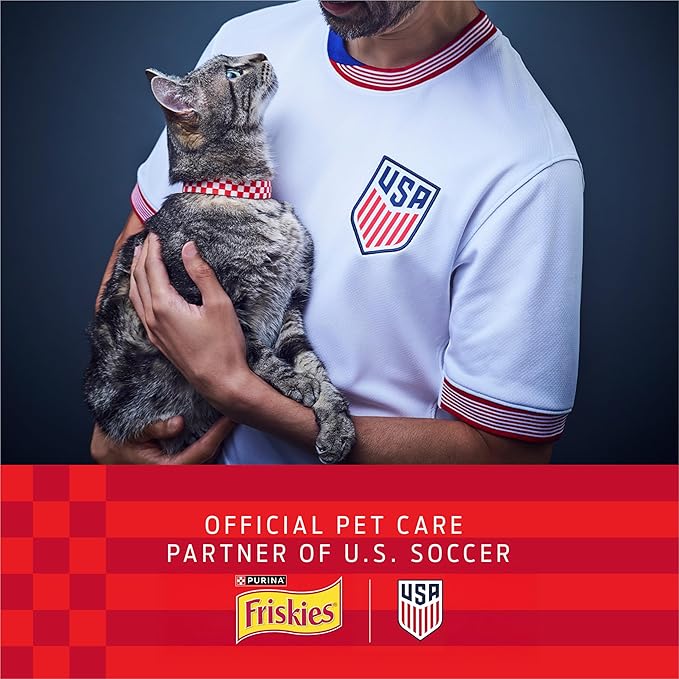Purina Friskies Natural Cat Treats Party Mix Natural Yums With Real Salmon and Added Vitamins, Minerals and Nutrients - 20 Oz. Canister