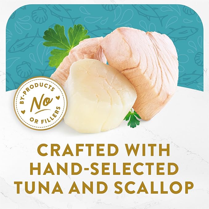 Fancy Feast Purina Appetizers Lickable Grain Free Wet Cat Food Topper Light Meat Tuna Appetizer with Scallop - 1.1 oz. Trays,(Pack of 20)