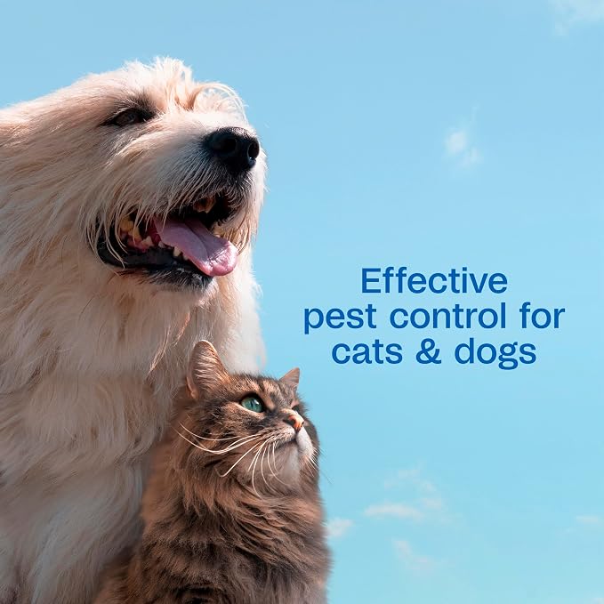 ADAMS Plus Flea & Tick Shampoo with Precor for Dogs, Cats, Puppies & Kittens, Flea Shampoo to Treat Infestations, Kills Ticks, Fleas, Flea Eggs & Lice, Cleans and Conditions Coat, 24 Ounces