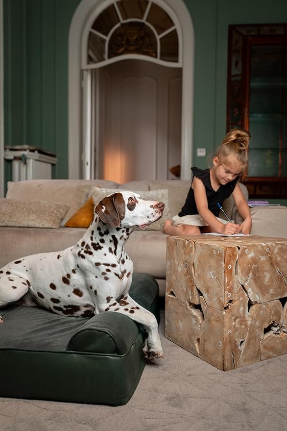 NOAH & PAW XL Dog Bed, 45x35x9.1 Inch, Orthopedic Large Dog Beds, Eggshell Memory Foam Infused with Cooling Gel, Water Resistant, Machine Washable, Includes Inner Cover (Faux Leather)