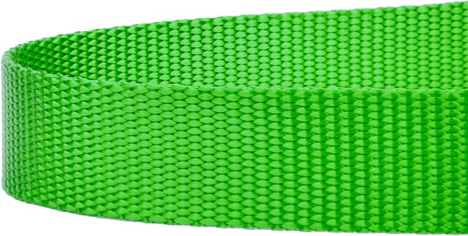 Country Brook Petz - Everyday Nylon Dog Leash - Strong, Durable, Solid Color Leash with Easy to Use Snap - 25+ Colors (1 Inch Wide, 4 Foot, Hot Lime Green)