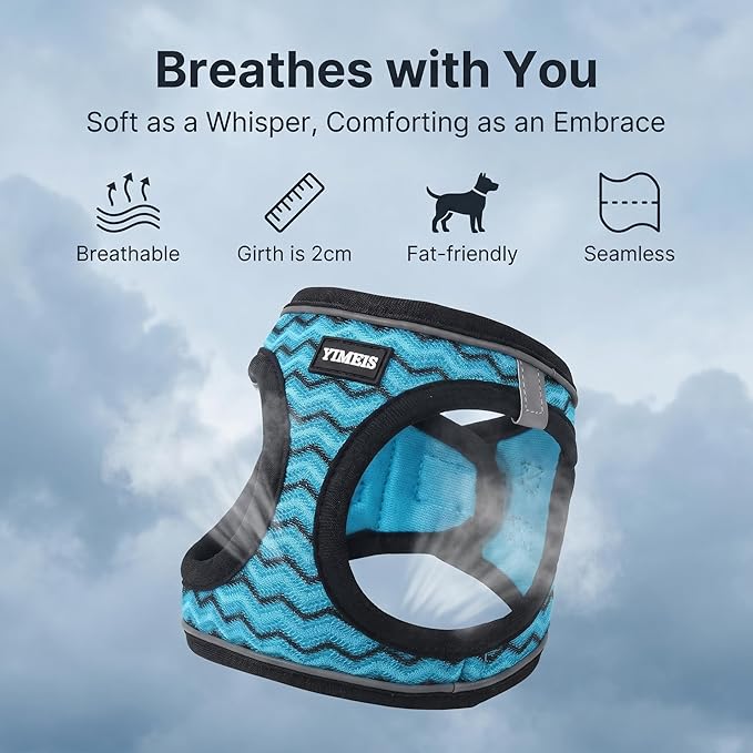 YIMEIS Dog Harness and Leash Set, No Pull Soft Mesh Pet Harness, Reflective Adjustable Puppy Vest for Small Medium Large Dogs, Cats (Blue, Small (Pack of 1))