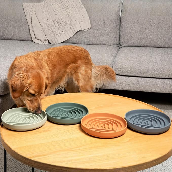 Should We Go? Slow Feeder Dog Bowls - Large Size Silicone Slow Eating Dog Bowl for Puppies & Dogs with Suction Cup -Dishwasher-Safe,Lick Mat Design,Reduces Gulping,for All Breeds,9.5”x1.5”-Terracotta