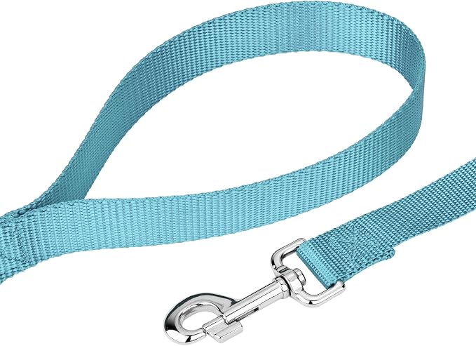 Country Brook Petz - Everyday Nylon Dog Leash - Strong, Durable, Solid Color Leash with Easy to Use Snap - 25+ Colors (1 Inch Wide, 4 Foot, Ocean Blue)