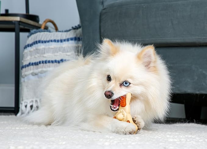 Hartz Chew ‘n Clean Chew Toy and Treat in One Chicken Flavored Tri-Point Dog Toy, Small (Pack of 2)