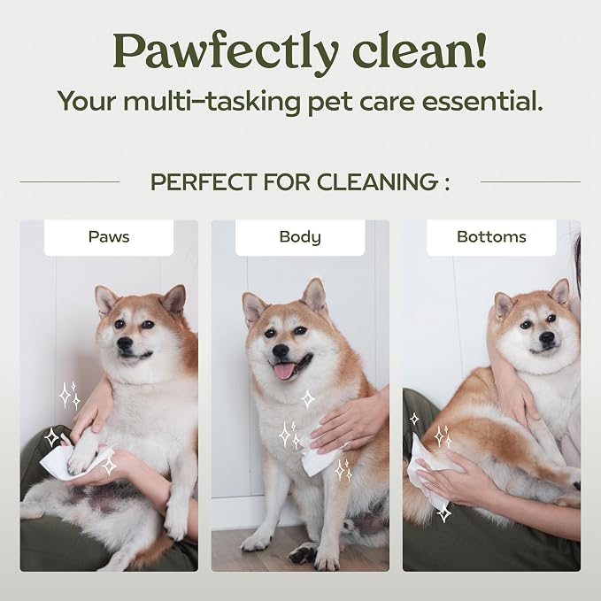Pawfume Dog Wipes 2 x 100 Count, Pet Wipes – Hypoallergenic & Gentle Dog Wipes for Eyes, Face, Butt, and Paws – Cleaning & Deodorizing, Grooming Tear Stain Wipes for Puppy, Adult Dogs & Cats