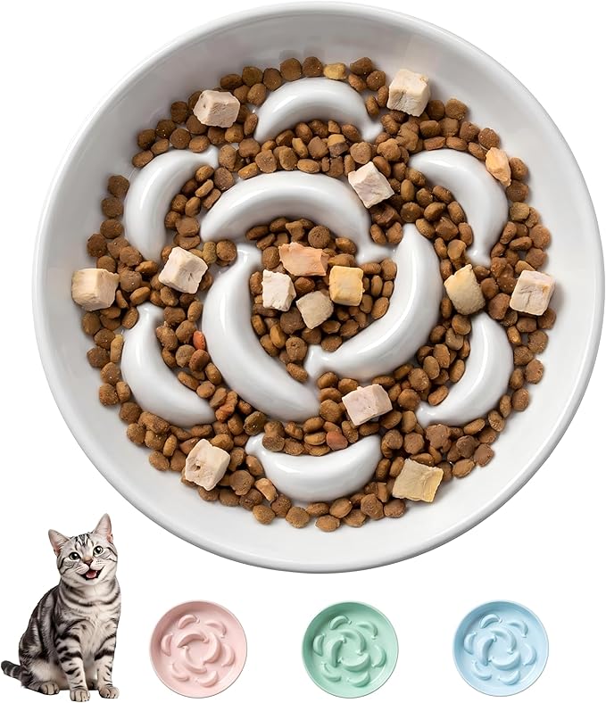 Ceramic Cat Slow Feeder Bowl - 6.3'' Wide Opening Whisker Friendly Cat Plate for Dry and Wet Food - Cute Maze Feeder Dish Helps Reduce Vomiting - Microwave and Dishwasher Safe - White
