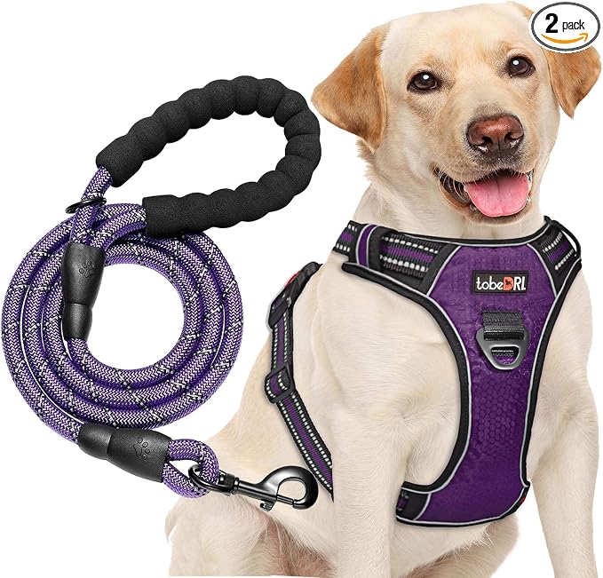 tobeDRI No Pull Dog Harness Adjustable Reflective Oxford Easy Control Medium Large Dog Harness with A Free Heavy Duty 5ft Dog Leash