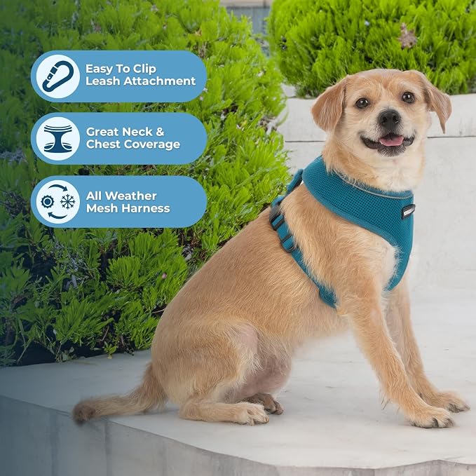 Best Pet Supplies Voyager Aerolite Over the Head Dog Harness, No Pull Breathable Air Mesh Vest, Quick Dry with Reflective Stitching, Adjustable Escape Resistant Harness - Turquoise, Small