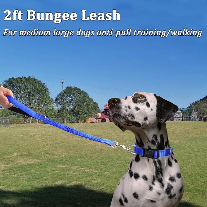 2FT Bungee Dog Leash, Short Nylon Traffic Leash with Padded Handle, Reflective Thread, Shock Absorbing for Large Medium Dogs Training Controlling Walking, Dark Blue
