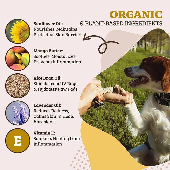 Natural Dog Company PawTection Dog Paw Balm, 4 Pack, Protects Paws from Hot Surfaces, Sand, Salt, & Snow, Organic, All Natural Ingredients (0.15 oz Travel Stick) X 4