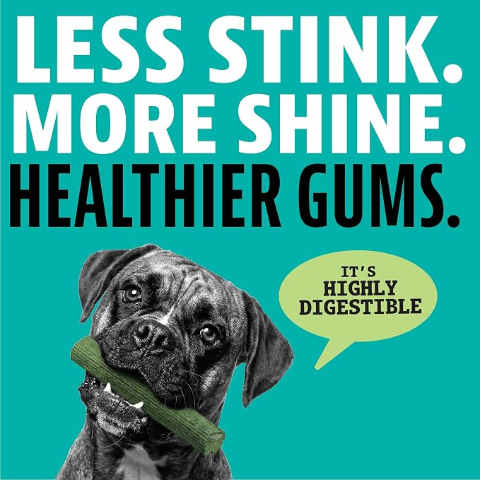 Dinovite Dental Chews for Dogs, Triple Action Dental Dog Treats for Large Breeds, Clinically Proven to Prevent Plaque & Tartar While Freshening Breath, Fresh Mint Flavor, Made in USA, 16 Count