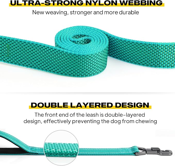 Fida 6 FT Heavy Duty Dog Leash with 2 Comfortable Padded Handles, Traffic Handle & Advanced Easy Snap Hook, Reflective Walking Lead for Large, Medium & Small Breed Dogs, Teal