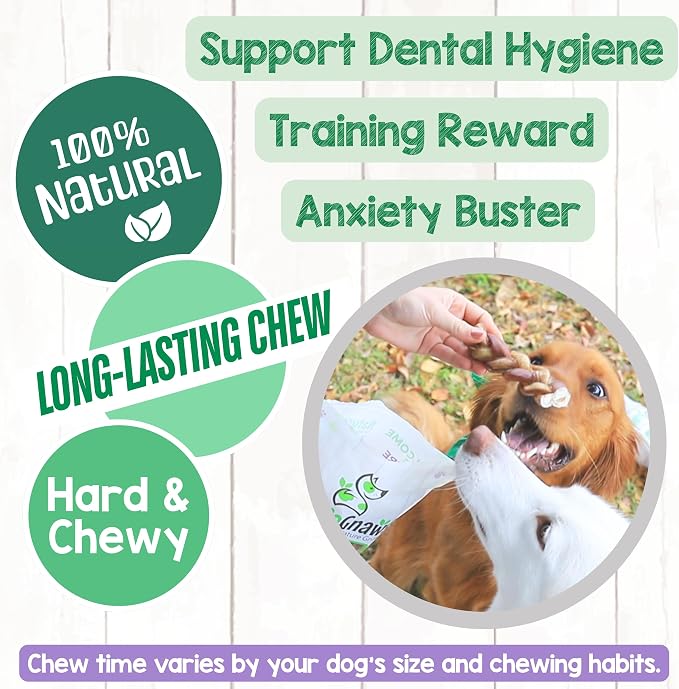 Nature Gnaws Braided Bully Sticks for Dogs 5-6" (3 Count) - Long Lasting for Small and Medium Dogs - Natural Beef Dog Chew Bones - Rawhide Free