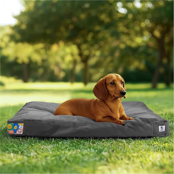 Sytopia 30 Inch Canvas Outdoor Dog Bed for Medium Dogs, Durable Dog Bed with Waterproof Machine Washable Removable Cover, Indoor Patio Pet Pad for Crate, Dark Grey
