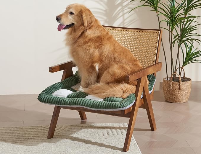 Couch Cushion Cover for dogs Sofa Cover Washable Pet Love Seat Couch Covers for Sofa Slipcovers Couch Protector Blanket for Dogs Sofa Cushion Covers for Pets Washable Pad Green 70x70cm/27.6x27.6in
