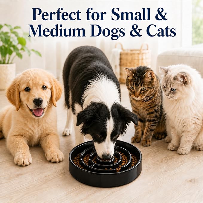 Slow Feeder Dog Bowls, Silicone Dog Bowl with Anti-Slip, Slow Feeder & Non-Slip Design, Boredom and Anxiety Reducer, Suitable for All Breed Dogs and Cat (Ceramic-Black)
