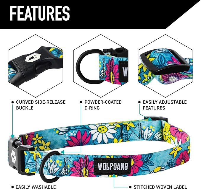 Wolfgang Heavy Duty, Adjustable Dog Collar with Quick Release Nylon Buckle for Walking & Training, LazyDaisy Print, Large