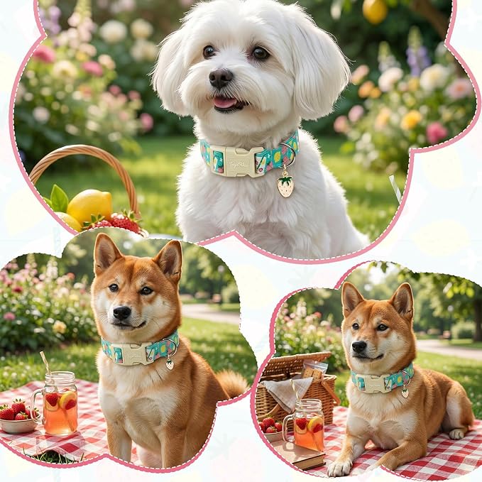 Cute Summer Dog Collar with Strawberry Lemon Pattern, Soft Cotton Girl Dog Collar Pet Accessory, Adjustable for Small Medium Large Dogs, Gift for Boys Girls Dogs-XS