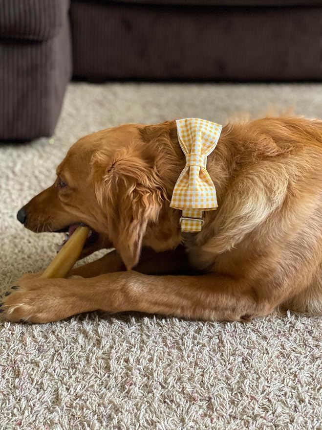 Lionet Paws Dog Collar with Bowtie, Durable Adjustable and Comfortable Collar for Medium Dogs, Neck 13.5-22in