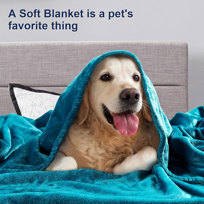 DREAMNINE Extra Large Fleece Blanket,Soft Comfy Fluffy Bed Blankets Queen Size 90" x 90",Luxury Decorative Fuzzy Blanket for Women Girl,Big Cozy Shaggy Warm Flannel Blankets for Winter Autumn Pet,Teal