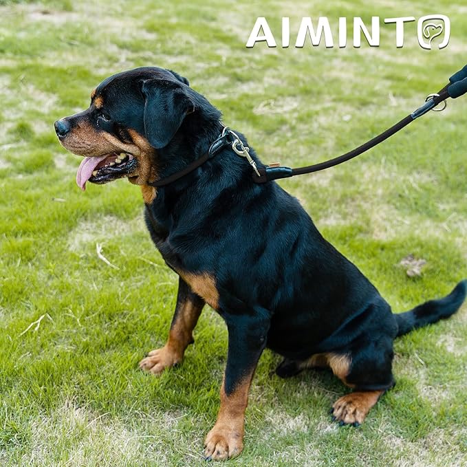 Dog Leash, Braided Rope Traction – Walking Training Lead for Medium/Large Dogs ((1/2") x 2FT, Black)