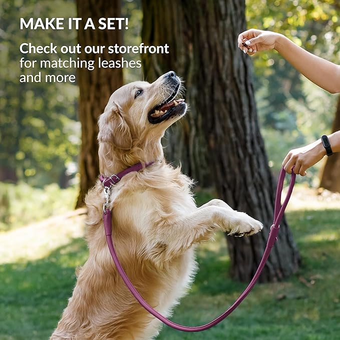 CollarDirect Reflective Rolled Leather Dog Collar, Soft Padded Round Puppy Collar, Handmade Genuine Leather Collar Dog Small Large Cat Collars 13 Colors (6-7 Inch, Pink Reflective)