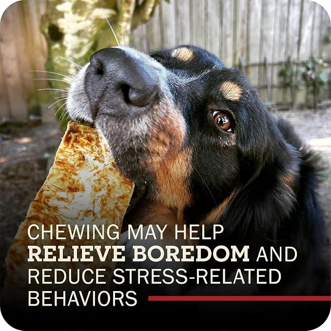 Redbarn Pet Products All-Natural Rawhide Bully Slices - Peanut Butter Flavor - Premium Grain-Free Beef Hide Treats High Protein Low Fat for Chewers - 9 oz Bag