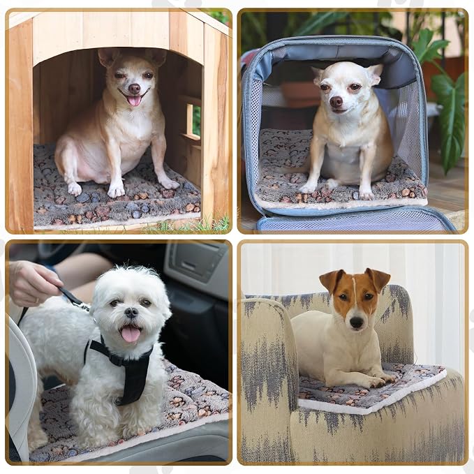 Tuanse 4 Pack Ultra Soft Dog Cat Bed Mat Small Animal Guinea Pig Bed with Cute Print Reversible Fleece Dog Crate Kennel Pad Cozy Washable Thickened Hamster Pet Beds Mat(13 x 19 Inches,Gray)