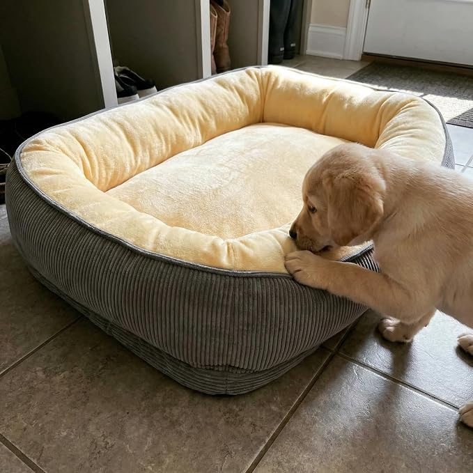 Calming Dog Bed for Medium Dogs 26"x19" - Orthopedic Washable Pet Bed with Anti-Slip Bottom, Indoor Soft Cat Bed with Removable Cover (Beige)