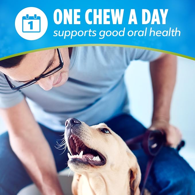 Dentalife ActivFresh Dog Chews for Small and Medium Dogs 20-40 lbs., Dental to Freshen Breath, Chicken Flavor, 15.5 oz., 21-21 ct. Pouch (Pack of 2)