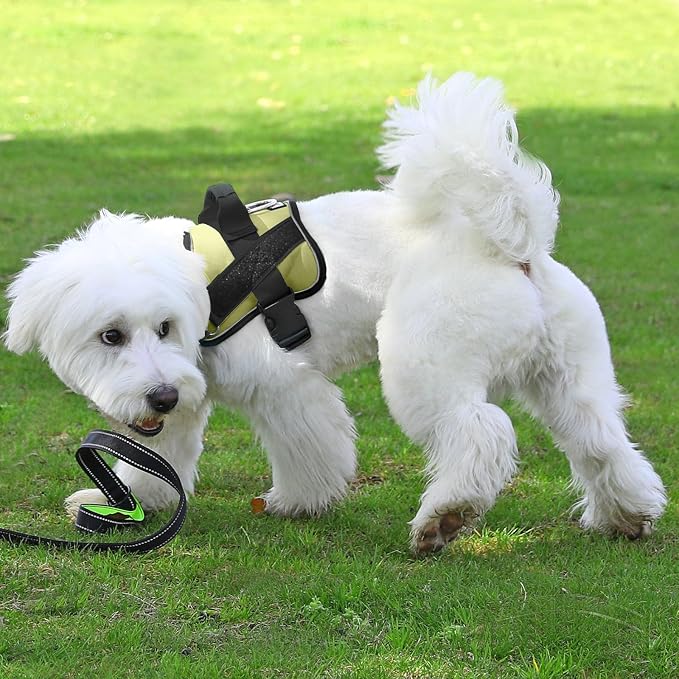 Dog Harness, No-Pull Reflective Dog Vest, Breathable Adjustable Pet Harness with Handle for Outdoor Walking - No More Pulling, Tugging or Choking