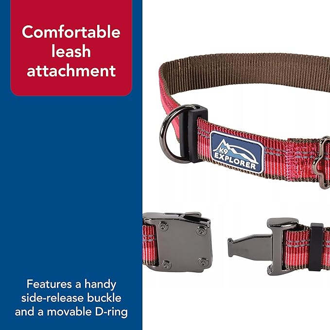 Coastal Pet K9 Explorer Reflective Adjustable Dog Collar - Comfortable Collar for the Outdoors - Durable, Lightweight Accessory with Side-Release Buckle - Berry, 1" x 12-18"
