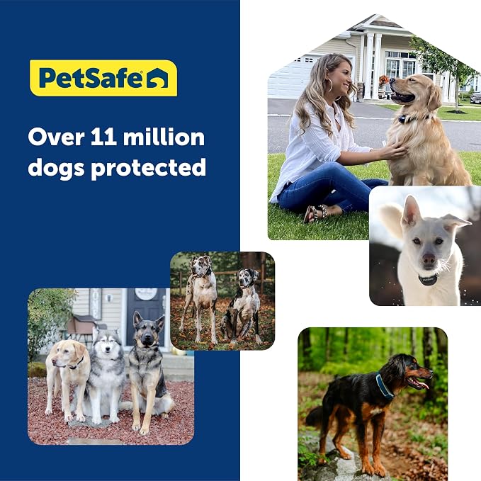 PetSafe Guardian GPS Dog Fence No Subscription Create Your Own Wireless Dog Fence Single-Yard Fence for Yards 3/4 Acres or Larger World's Safest GPS Dog Fence Tech New, Redesigned Collar