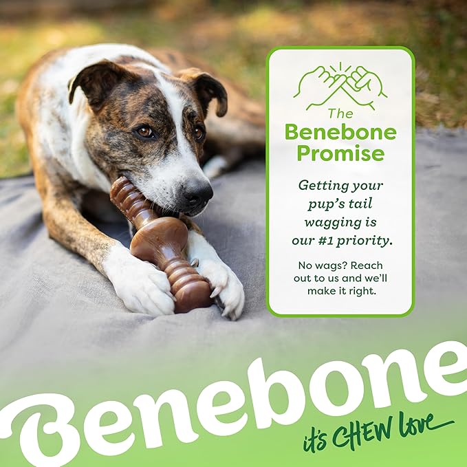 Benebone Zaggler Rolling Dog Chew Toy, Made in USA, Real Bacon Flavor, Large