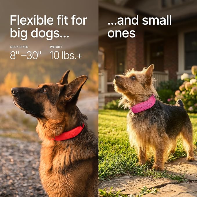 Halo Collar 5 Wireless Dog Fence & GPS Dog Collar, Keep Your Dog Safely Contained Outdoors with App-Controlled Boundaries and Real-Time Tracking, One Size, Sunburst