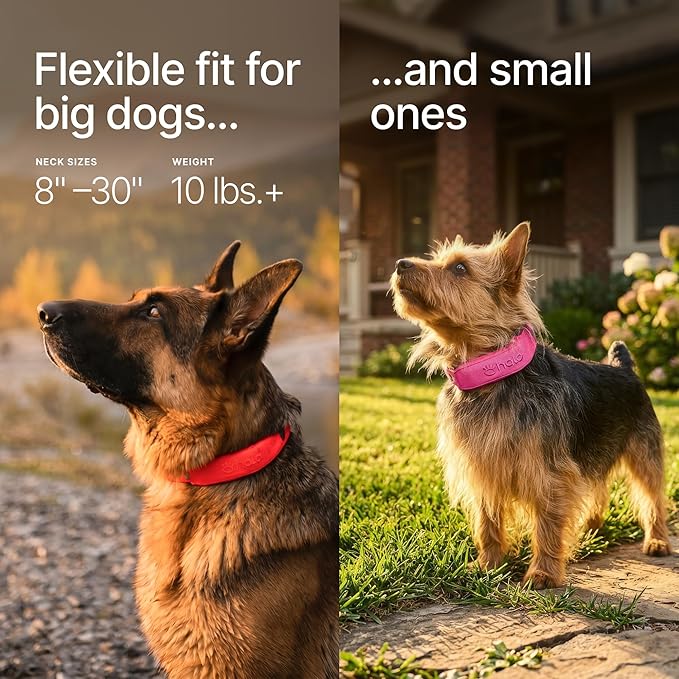 Halo Collar 5 Wireless Dog Fence & GPS Dog Collar, Keep Your Dog Safely Contained Outdoors with App-Controlled Boundaries and Real-Time Tracking, One Size, Midnight