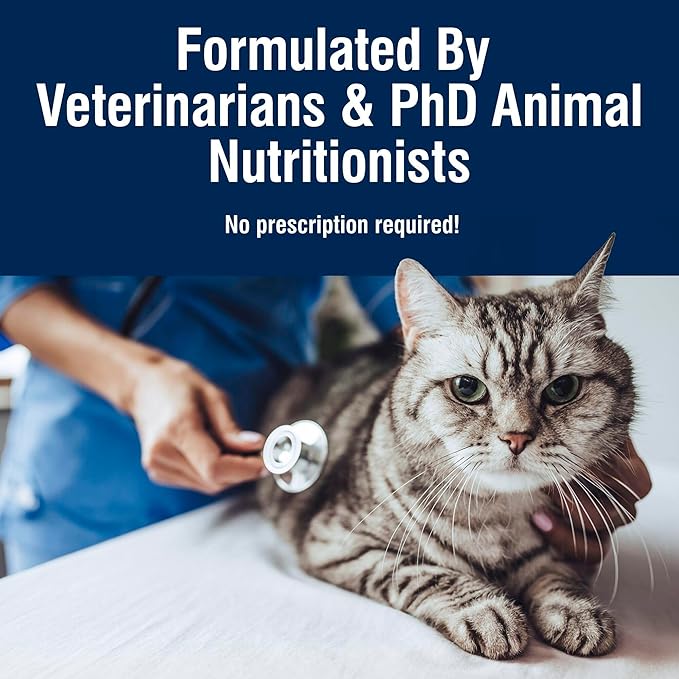 Blue Buffalo True Solutions Wet Food for Cats, Digestive Care Formula with Clinically Proven Ingredients, Chicken Recipe, 3oz Cans, 4Pack Trial Size