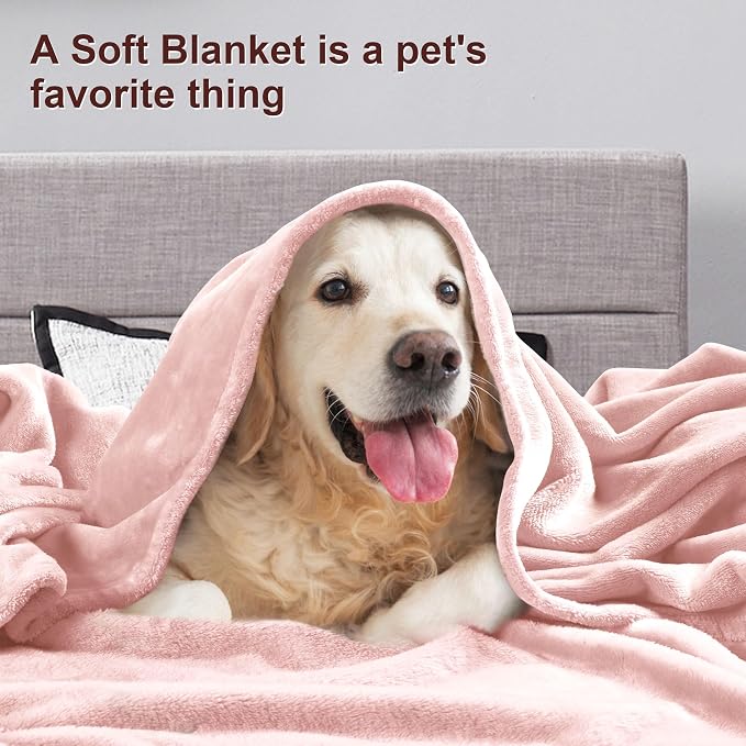 DREAMNINE Pack of 21 Fuzzy Soft Fleece Throw Blanket for Couch Sofa 50" x 60", Decorative Solid Lightweight Velvet Blankets for Chair, Cozy Accent Shaggy Plush Flannel Blanket for Bedroom, Pink