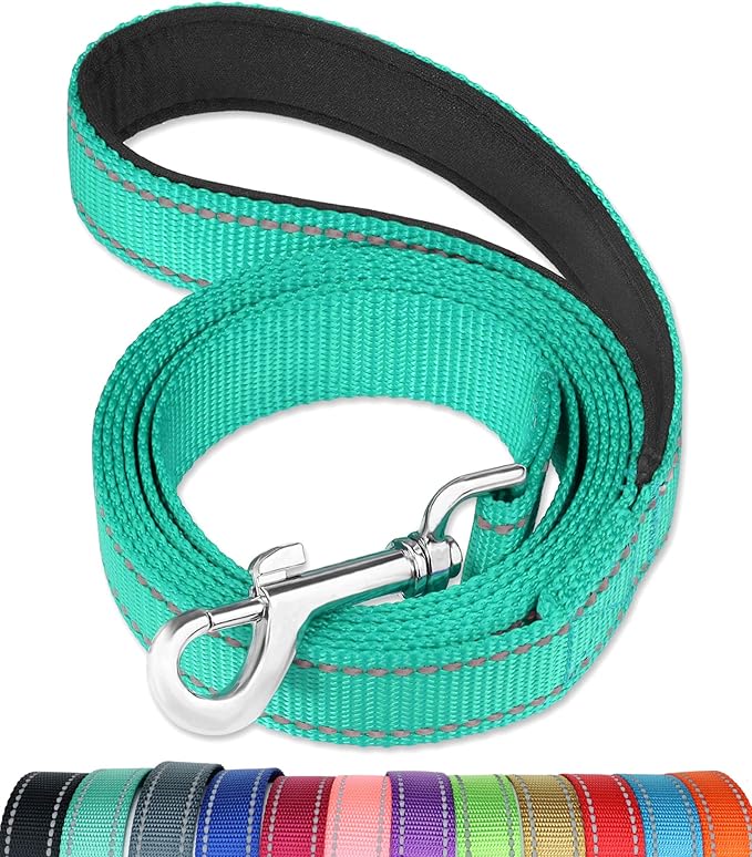 FunTags 4FT Turouoise Reflective Dog Leash for Medium & Small Dogs Training, Soft Padded Handle Comfortable Grip, Heavy Duty Nylon, Reflective for Night Walking, 3/4in Wide