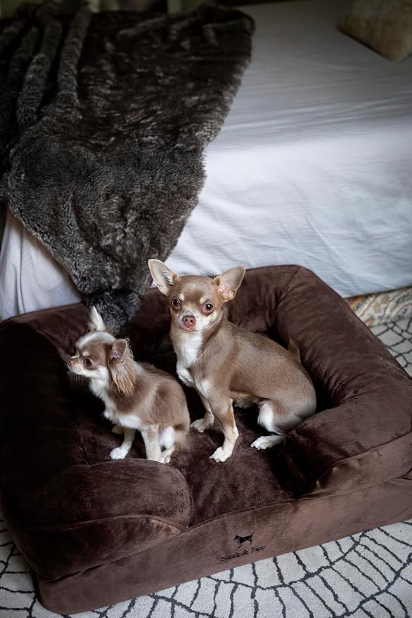 NOAH & PAW Dog Bed, 28x23x11 Inch, Orthopedic Dog Beds for Medium Size Pets, Eggshell Memory Foam Infused with Cooling Gel, Inner Cover, Water Resistant, Machine Washable (Velvet Sofa Collection)