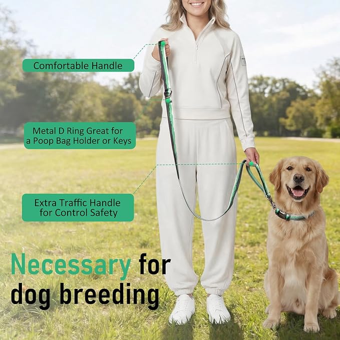 Double Handle Dog Leash 5FT – Heavy Duty Nylon Flat Leash with Traffic Handle & Safety Lock Clip,Colorful Durable Walking Lead for Small Medium Large Dogs Training & Daily (Forest Mist)