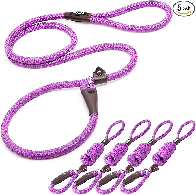Fida Durable Slip Lead Dog Leash Bulk Pack of 5, Heavy Duty 1/2" x 6 FT Comfortable Strong Rope Slip Lead for Large, Medium Dogs No Pull Pet Training Leash with Highly Reflective, Purple