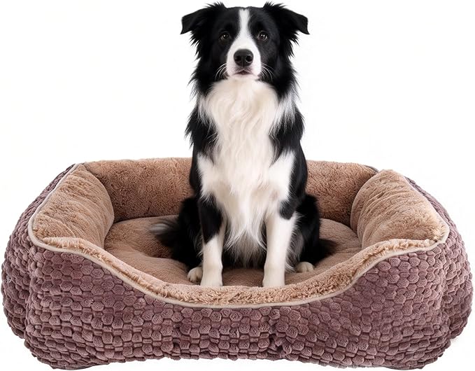 Plush Dog Bed Extra Large, Brown, Machine Washable, Dog Beds Sofa with Pillow Support, 35x25Inch, Corn Kernel Design, Non-Slip Bottom, Thick PP Cotton Padding
