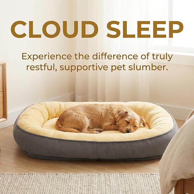 Calming Dog Bed for Medium Dogs 26"x19" - Orthopedic Washable Pet Bed with Anti-Slip Bottom, Indoor Soft Cat Bed with Removable Cover (Beige)