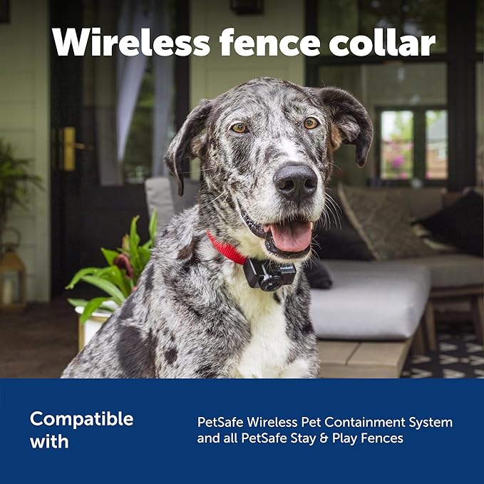 PetSafe Wireless Pet Fence Containment System Receiver Collar Only for Dogs and Cats Over 5 lb., Waterproof with Tone and Static Correction - from The Parent Company of Invisible Fence Brand