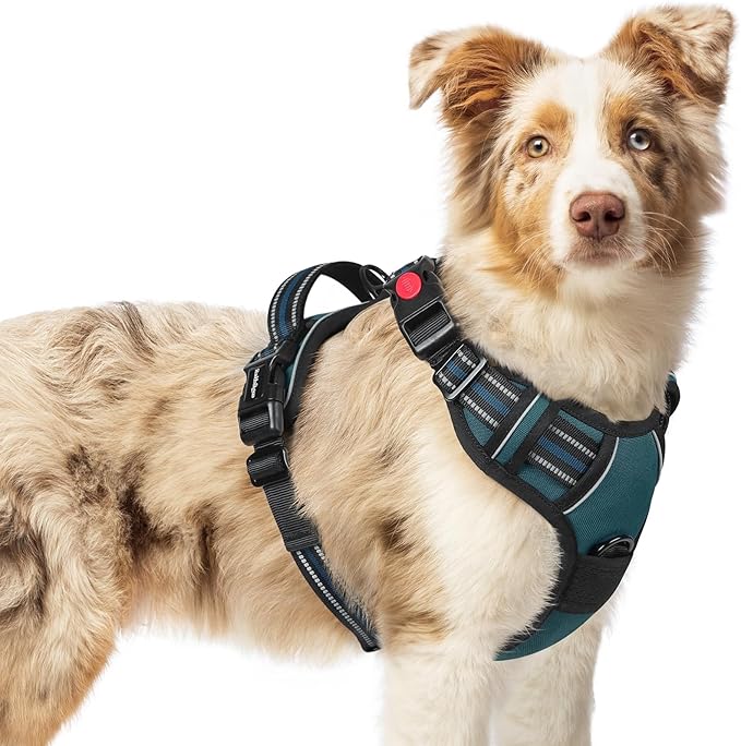 rabbitgoo Dog Harness Medium Sized, No Pull Easy On & Off with 3 Buckles Pet Harness, Adjustable Soft Walking Vest with 2 Clips and Handle, Reflective for Medium Dogs, Blue Coral, M