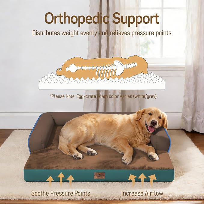 Comfort Expression Dog Bed Large Size Dog - XL Pet Bed Waterproof Orthopedic Pet Couch Memory Foam Sofa Bolster with Removable Cover - 42 x 30